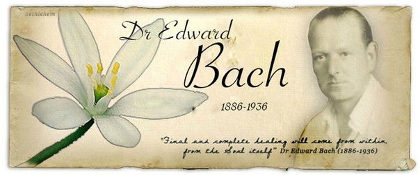 Docteur Bach